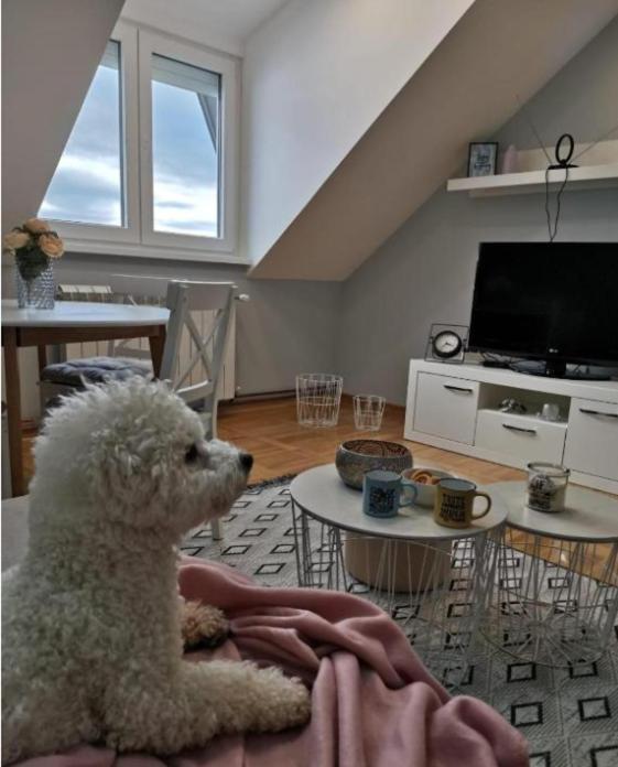 Apartman Jela Nova Varoš Dış mekan fotoğraf
