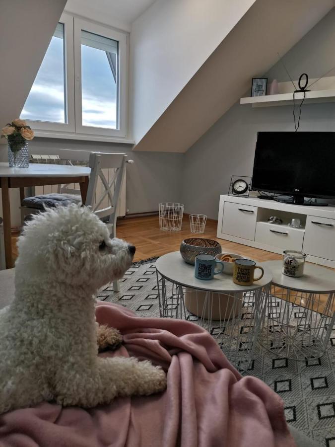 Apartman Jela Nova Varoš Dış mekan fotoğraf