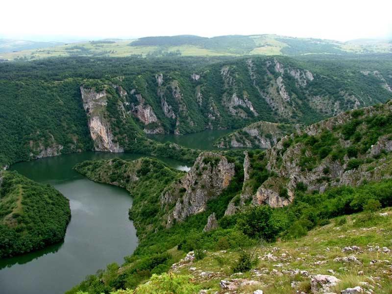 Apartman Jela Nova Varoš Dış mekan fotoğraf